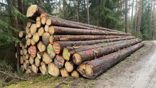 Fichte - Stammholz - LKW-Ladung